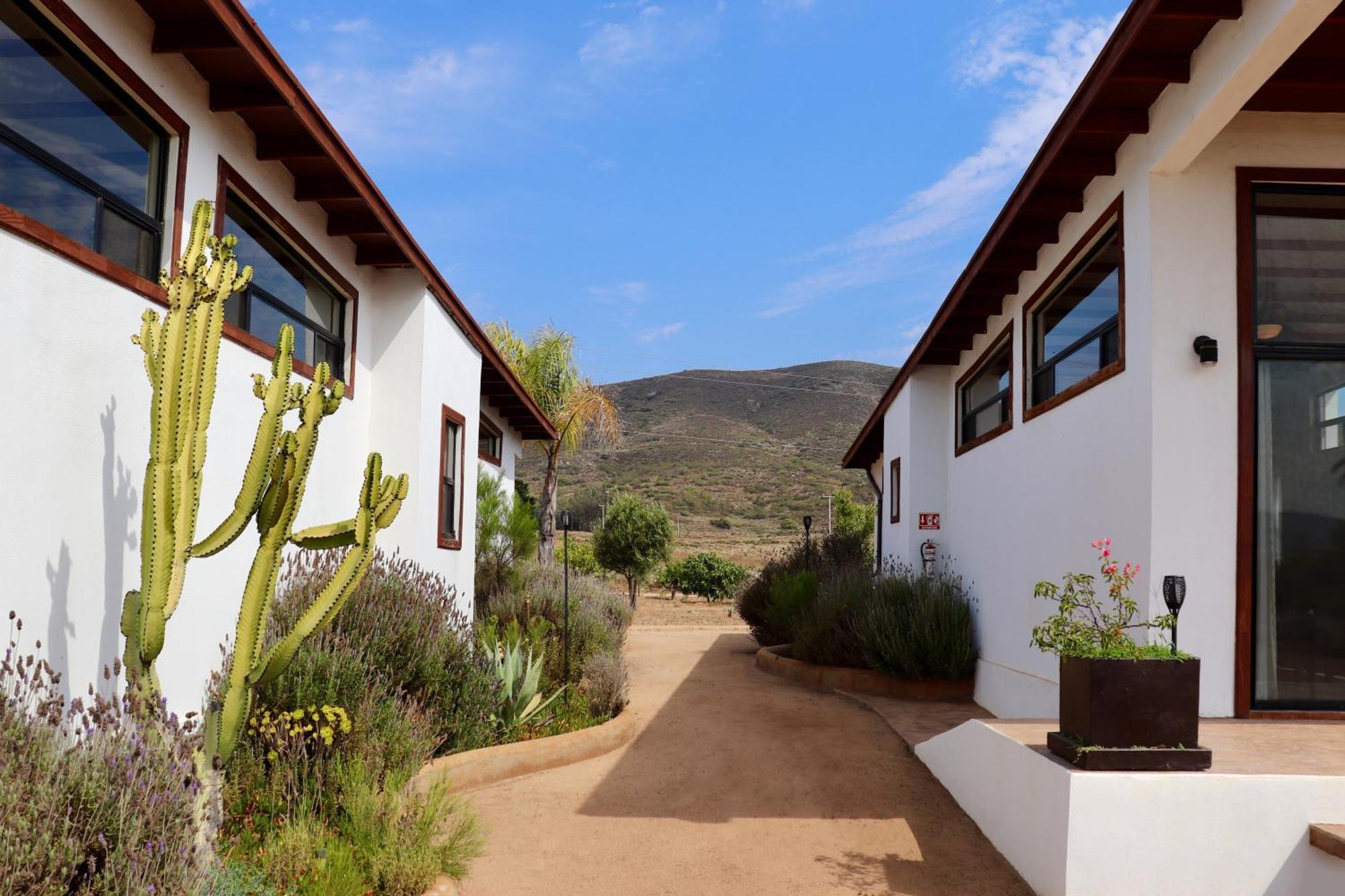Villa Victoria, Valle De Guadalupe Dış mekan fotoğraf